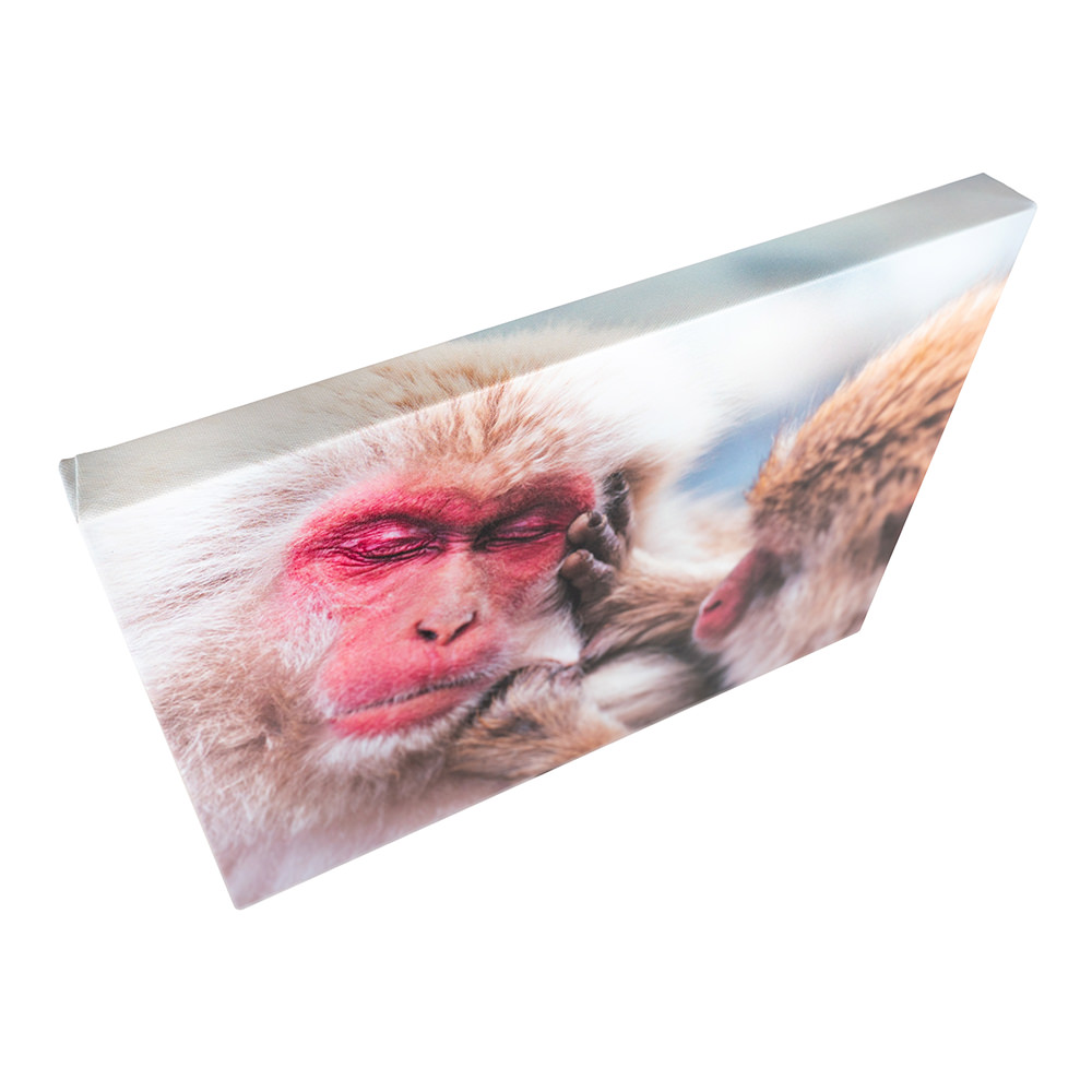 Example of a stretched canvas wall art from a top side angle.