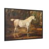 88289-10.jpg Grey Arabian Stallion by James Ward Framed Canvas