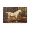 88289-11.jpg Grey Arabian Stallion by James Ward Framed Canvas