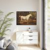 88289-13.jpg Grey Arabian Stallion by James Ward Framed Canvas