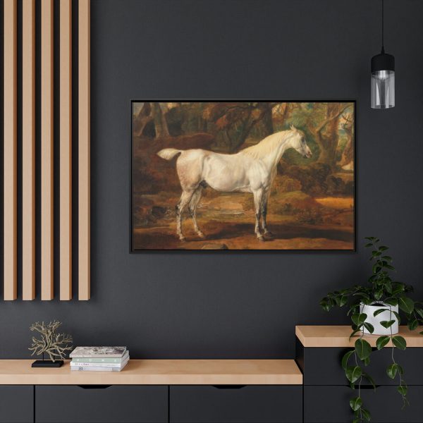 88289-14.jpg Grey Arabian Stallion by James Ward Framed Canvas