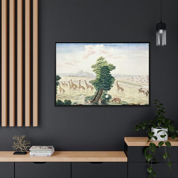 Giraffe-hunt near the Orange River Framed Canvas