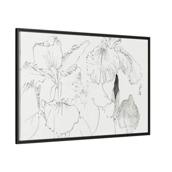 88289-55.jpg Japanese Iris Illustration by Watanabe Seitei Framed Canvas