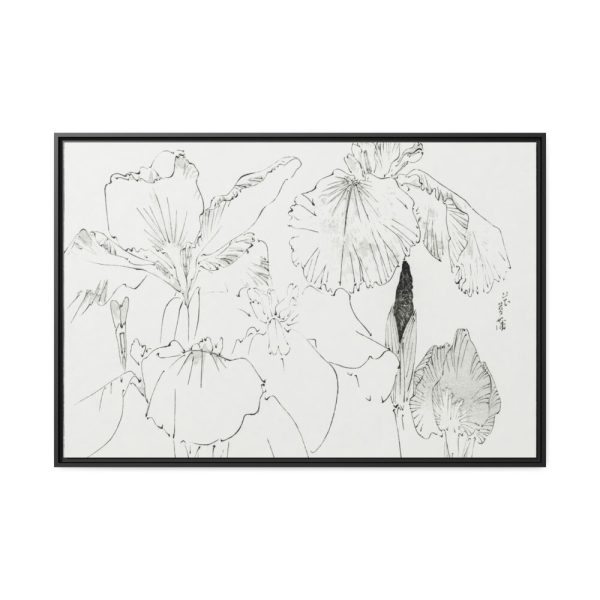 88289-56.jpg Japanese Iris Illustration by Watanabe Seitei Framed Canvas