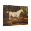 91638-10.jpg Grey Arabian Stallion by James Ward Standard Canvas
