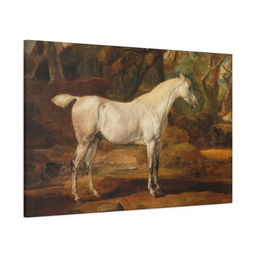 91638-10.jpg Grey Arabian Stallion by James Ward Standard Canvas