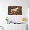 91638-12.jpg Grey Arabian Stallion by James Ward Standard Canvas