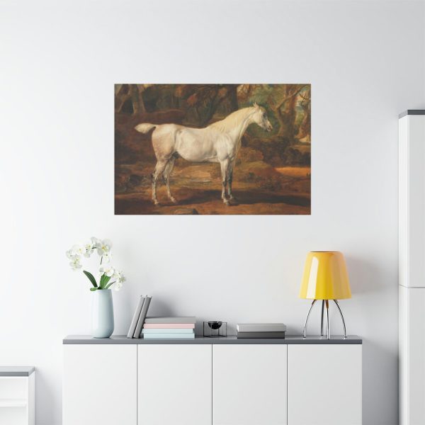 91638-12.jpg Grey Arabian Stallion by James Ward Standard Canvas