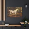 91638-13.jpg Grey Arabian Stallion by James Ward Standard Canvas