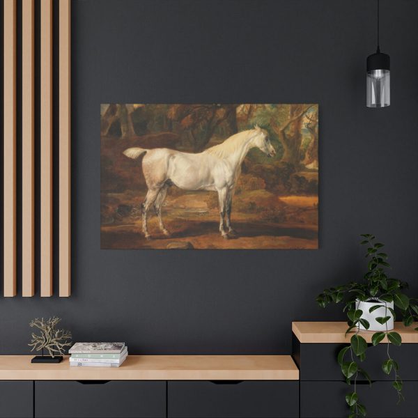 91638-13.jpg Grey Arabian Stallion by James Ward Standard Canvas