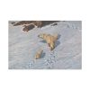 91638-16.jpg Eisbaren Familie by Richard Friese Standard Canvas
