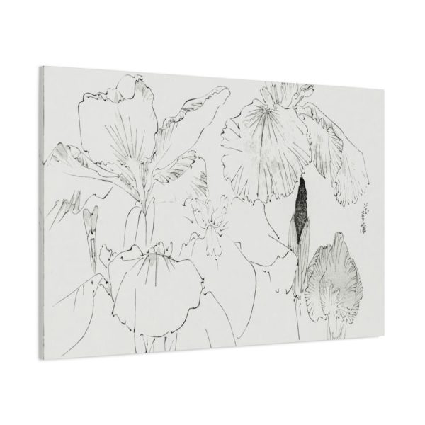 91638-45.jpg Japanese Iris Illustration by Watanabe Seitei Standard Canvas