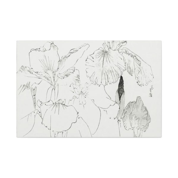 91638-46.jpg Japanese Iris Illustration by Watanabe Seitei Standard Canvas
