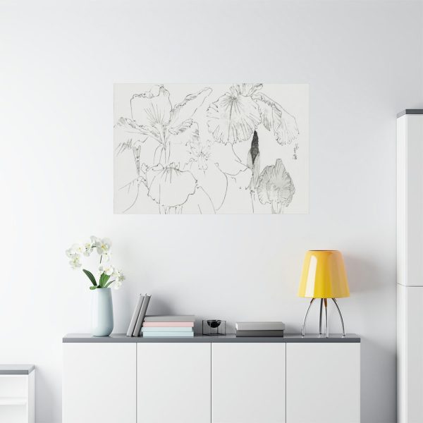 91638-47.jpg Japanese Iris Illustration by Watanabe Seitei Standard Canvas