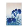 91655-16.jpg Iris Flowers by Ohara Koson Poster