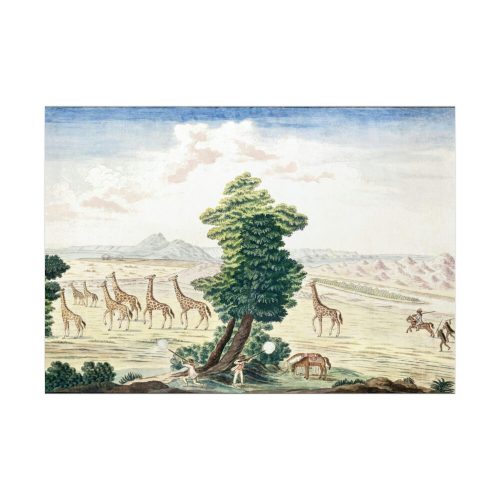 Giraffe-hunt near the Orange River Poster