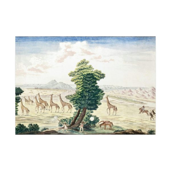 Giraffe-hunt near the Orange River Poster