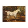 92408-6.jpg Grey Arabian Stallion by James Ward Poster