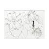 92409-36.jpg Japanese Iris Illustration by Watanabe Seitei Poster