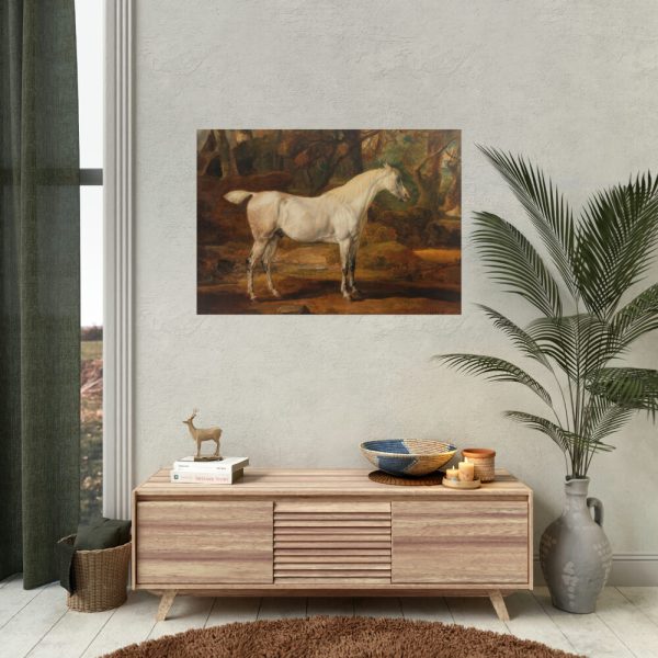 92409-7.jpg Grey Arabian Stallion by James Ward Poster