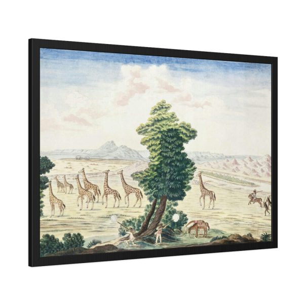 Giraffe-hunt near the Orange River Framed Poster