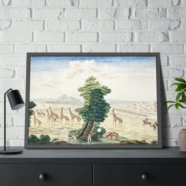 Giraffe-hunt near the Orange River Framed Poster