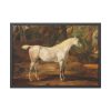 93854-8.jpg Grey Arabian Stallion by James Ward Framed Poster