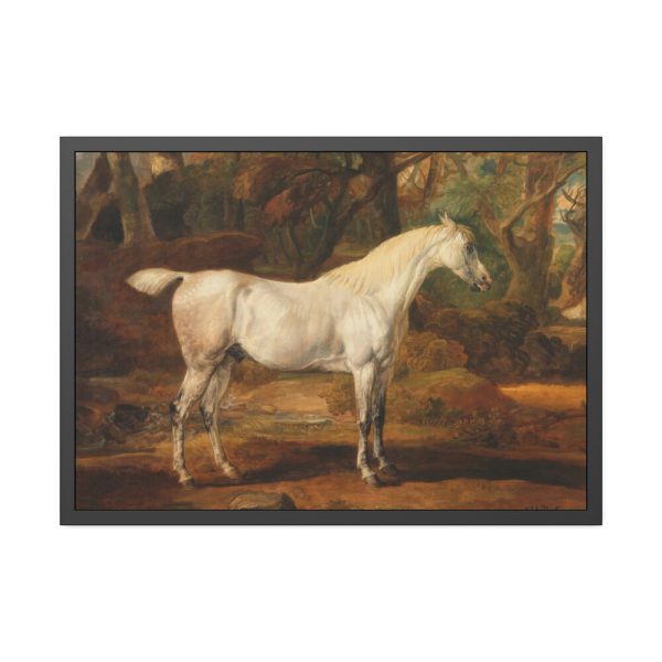 93854-8.jpg Grey Arabian Stallion by James Ward Framed Poster