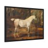 93854-9.jpg Grey Arabian Stallion by James Ward Framed Poster