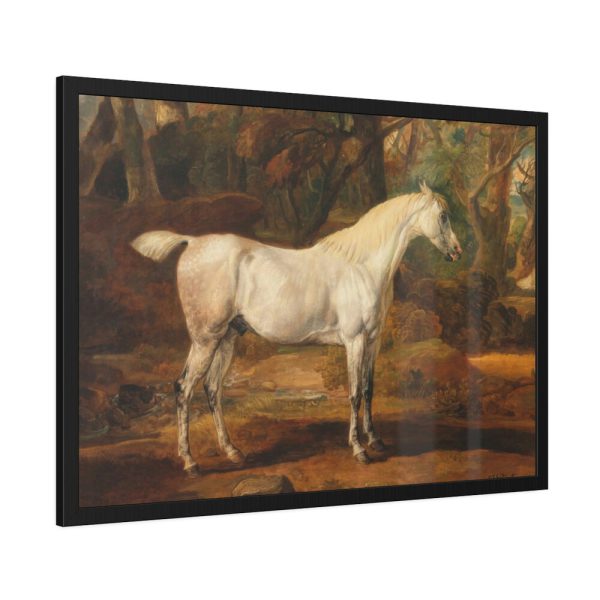 93854-9.jpg Grey Arabian Stallion by James Ward Framed Poster