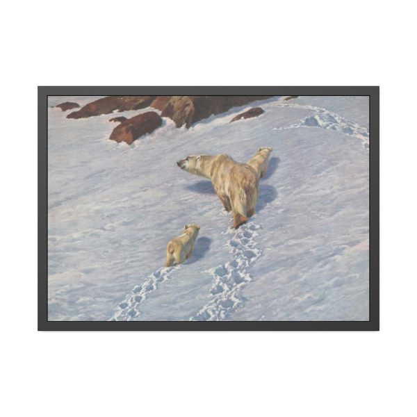 93855-12.jpg Eisbaren Familie by Richard Friese Framed Poster