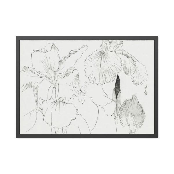 93855-52.jpg Japanese Iris Illustration by Watanabe Seitei Framed Poster