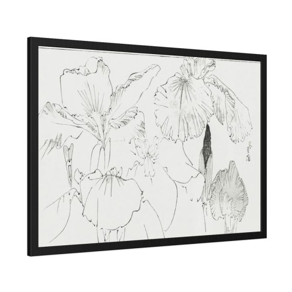 93855-53.jpg Japanese Iris Illustration by Watanabe Seitei Framed Poster
