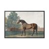 88289-1.jpg Anvil by George Stubbs Framed Canvas