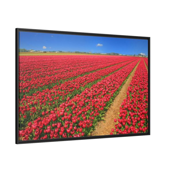 88289-105.jpg Red Tulips Field Framed Canvas