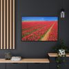 88289-109.jpg Red Tulips Field Framed Canvas