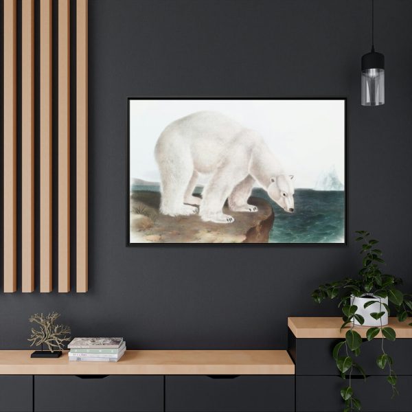 88289-34.jpg Polar Bear by John Woodhouse Audubon Framed Canvas