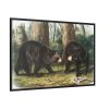 88289-40.jpg American Black Bears by John Woodhouse Audubon Framed Canvas