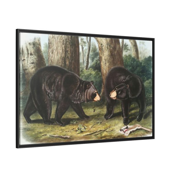 88289-40.jpg American Black Bears by John Woodhouse Audubon Framed Canvas