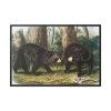 88289-41.jpg American Black Bears by John Woodhouse Audubon Framed Canvas