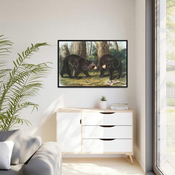 88289-43.jpg American Black Bears by John Woodhouse Audubon Framed Canvas