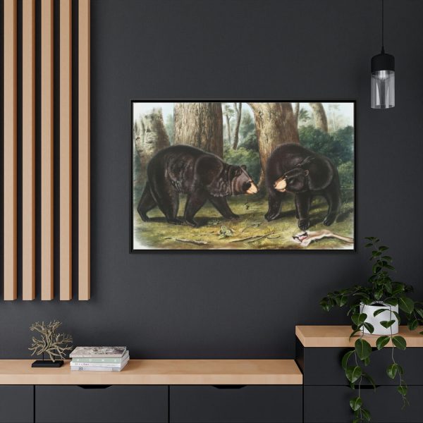 88289-44.jpg American Black Bears by John Woodhouse Audubon Framed Canvas