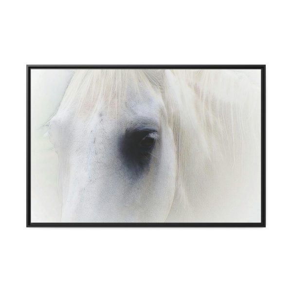 Closeup Shot of a White Horse Framed Canvas