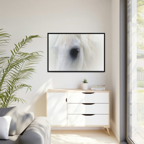 Closeup Shot of a White Horse Framed Canvas