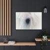 Closeup Shot of a White Horse Framed Canvas