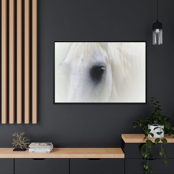 Closeup Shot of a White Horse Framed Canvas