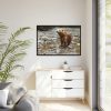 Grizzly Brown Bear Framed Canvas