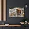 Grizzly Brown Bear Framed Canvas