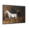 88289-65.jpg A Grey Pony and a Black Charger by Jacques-Laurent Agasse Framed Canvas