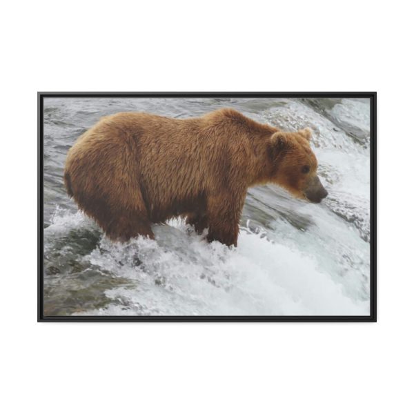 88289-71.jpg Grizzly Bear In National Park Framed Canvas